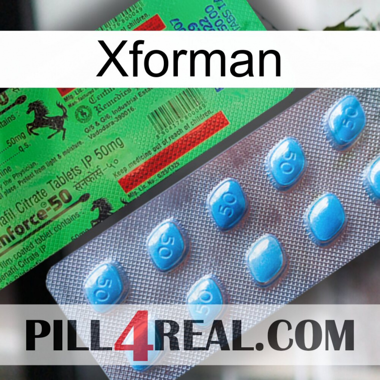Xforman new03
